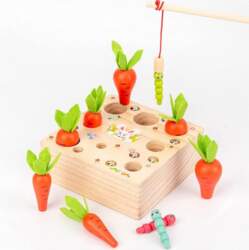 Интеллектуальная игра из дерева Pull Out