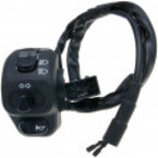 OEM Standard left-hand switch assy indicator