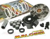 Variators Malossi Multivar 2T Piaggio 50cc