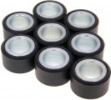 Roller set / variator weights Polini