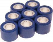 Roller set / variator weights Polini