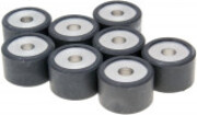 Roller set / variator weights Polini
