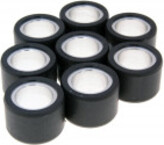 Roller set / variator weights Polini