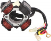 101 Octane alternator stator for Beta