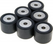 Roller set / variator weights Polini