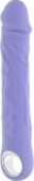 EVOLVED LARGE PURPLE FANTASY 9.5