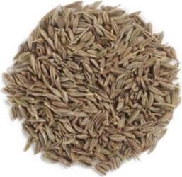 Bibar Kumins 500 g (Zira)