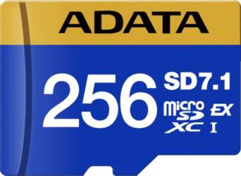 ADATA mSD EXPRESS SWITCH 2 256GB