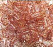 9mm Cilindrs (x10)