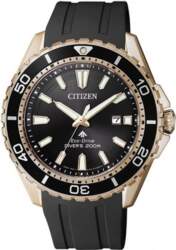 Rokas pulkstenis Citizen BN0193-17E