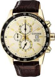 Rokas pulkstenis Citizen AN3602-02A