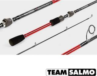 Spinings Team Salmo VANTAGE TSVA-701F