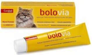 Bolo Via pasta