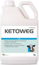 Ketoweg