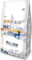 Monge VetSolution Feline Urinary Struvite 1