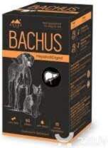 BACHUS Hepatica&Digest tab.N60