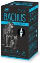BACHUS Joints&Flexi tab.N60
