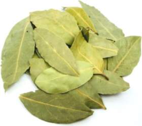 Lauru lapas