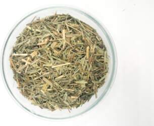 Citronzāle