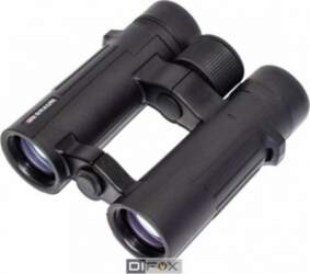 Braun Compagno 10x34 WP 20003