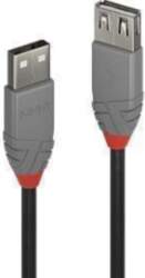 CABLE USB2 TYPE A 5M/ANTHRA 36705
