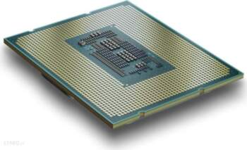 Intel Processor 300 3900 - Socket