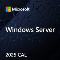 Microsoft MS Windows Svr CAL 2025