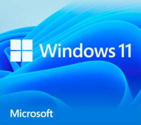 Microsoft Windows 11 Home, operating system