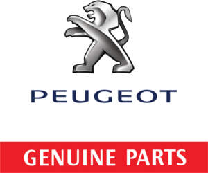 Peugeot CV joint boot kit #