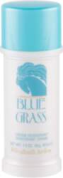 Blue Grass 40ml