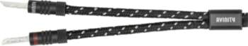 Speaker Cable Avinity 3 m, 2