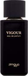 Vigour 100ml 6290171072812