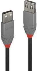 CABLE USB2 TYPE A 3M/ANTHRA 36704