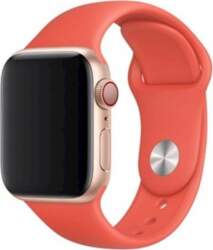 Devia Apple Watch 40mm / 38mm