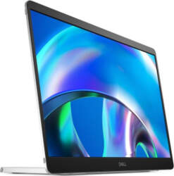 Monitor DELL P1425 14" Business Panel