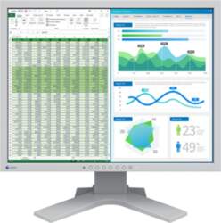 EIZO FlexScan S2134, LED monitor -