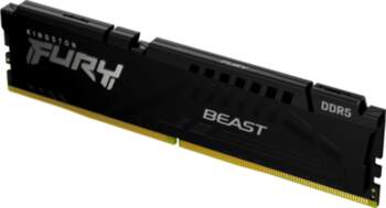 Kingston Technology FURY Beast 1 x