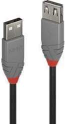 CABLE USB2 TYPE A 2M/ANTHRA 36703