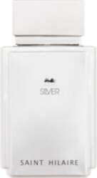 Silver 100ml