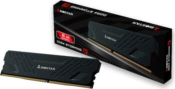 Biostar DDR4 Storming V memory module