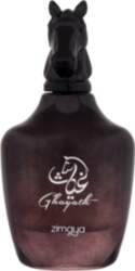 Ghayath 100ml 6290171074106