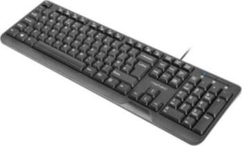 Natec Keyboard TROUT SLIM, USB, US