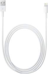 Apple Lightning to USB Cable 2