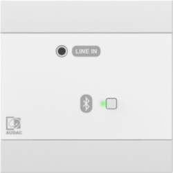 Audac NWP300/W Network input panel -