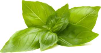 Click & Grow Smart Refill Lemon