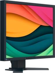 EIZO FlexScan S2134, LED monitor -