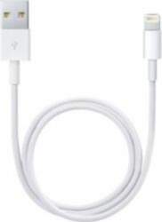 Apple Lightning to USB Cable 1m