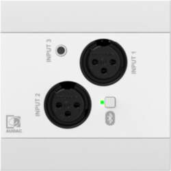 Audac NWP320/W Network input panel -