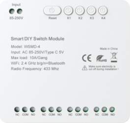 DIY Avatto WSMD-4 250V smart switch