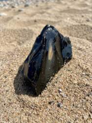 Obsidiāns